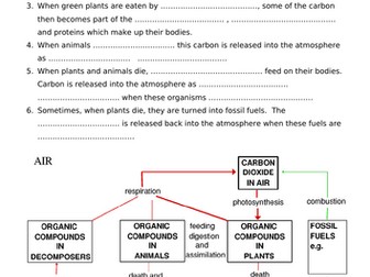 IGCSE carbon cycle worksheet