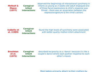 Attachment Key Studies (Card Sort) AQA A Level Psychology Paper 1