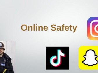 Online safety assembly