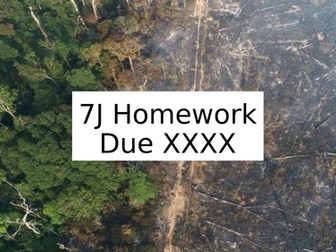 Deforestation Homework