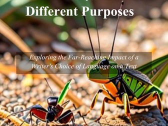 Same Story, Different Purposes -The Far-Reaching Impact of a Writer’s Choice of Language in a Text