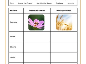 Comparing insect-pollinated and wind-pollinated flowers + Answers