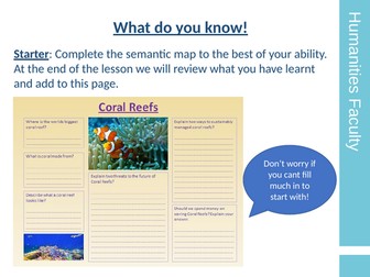 What are coral reefs