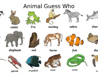 Year 1 Science Animals inc humans