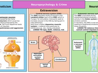 OCR GCSE Psychology: Paper 1 & 2 Neuropsychology Pack