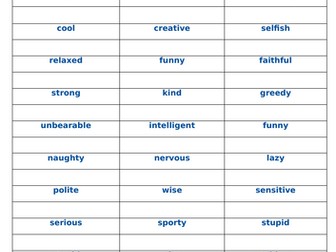 GCSE French adjectives revision sheet