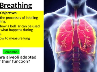 Year 8 Breathing