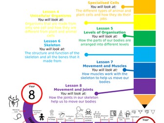 KS3 Year 7 Lesson resources and booklet for cells topic