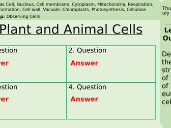 KS3 Year Lesson - 1. Plant and animals cells