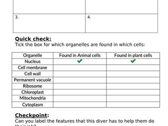 KS3 Year 7 - Lesson 3. Specialised cells