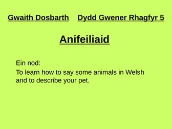 Anifeiliaid  - introduction to animals in Welsh
