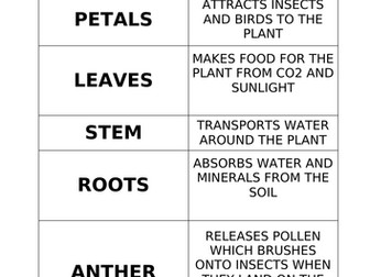 Parts of the plant matching pair game