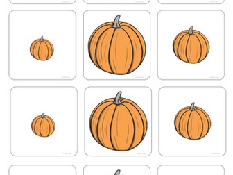 Small, Medium, Long Pumpkin