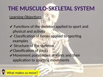 AQA GCSE PE Musculo-skeletal names and locations of bones