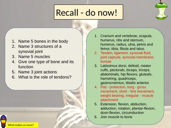 AQA GCSE PE Musculo-skeletal - muscles and antagonistic pairs