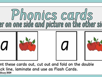 Single Phonics cards pictures on the back