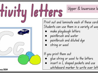 Uppercase & Lowercase Activity letters