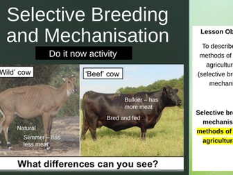 Selective Breeding and Mechanisation - Agriculture - iGCSE Environmental Management