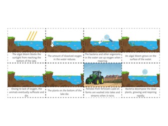 Fertilisers - Agriculture - iGCSE Environmental Management