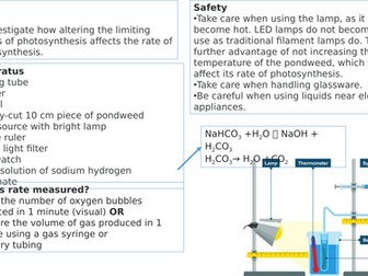 Factors affecting photosynthesis