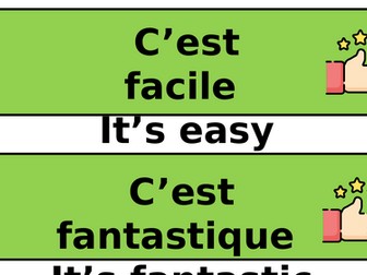 French adjectives display