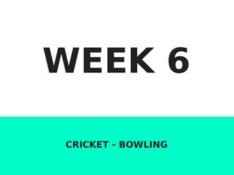 Cricket unit plan