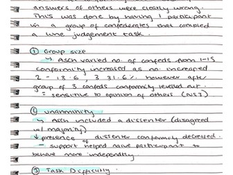 Social Influence Essay Plans