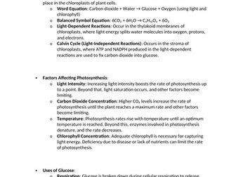 GCSE Biology - Bioenergetics