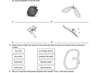 KS3 lesson on seeds and seed dispersal - Edexcel
