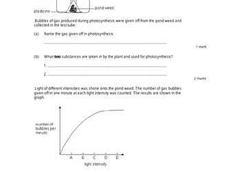 KS3 lesson on uses of Glucose in plants - Edexcel