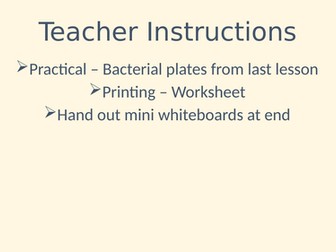 KS3 lesson on Fungi - Edexcel