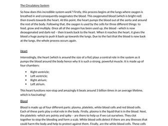 The Circulatory System Explanation text