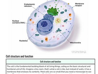 Cell structure and function