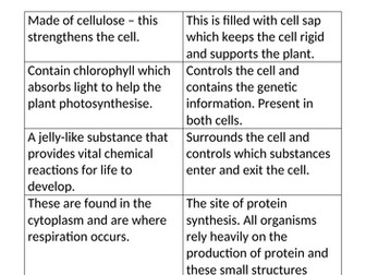 Animal and Plant Cells