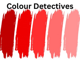 Colour Detective Activity