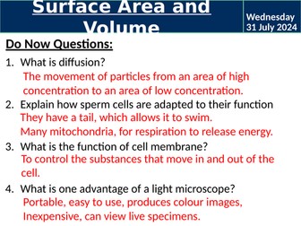 Surface Area and Volume