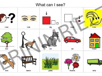 What can I see? Communication Board/Aid