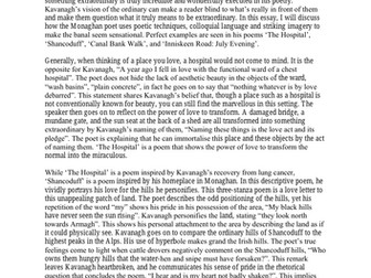 Patrick Kavanagh Leavin Cert essay