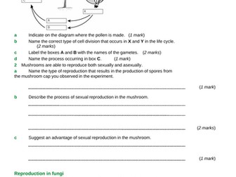 B13 Reproduction (TRIPLE lessons only) GCSE AQA