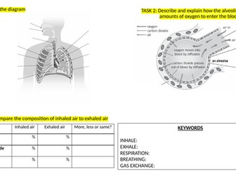 Breathing and digestion (Year 8) KS3 Activate