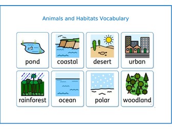 Animals and Habitats Vocabulary