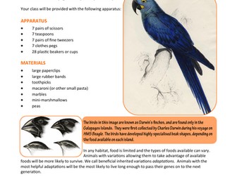 Year 5/ 6 Science Evolution&Inheritance