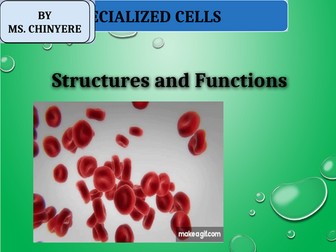 Specialised Cells