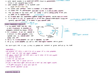 AQA A level Biology Notes Topic 5 Genetic information, variation and relationships between organisms