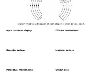 Information processing (AQA A level PE)