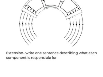 Memory and schema (AQA A level PE)
