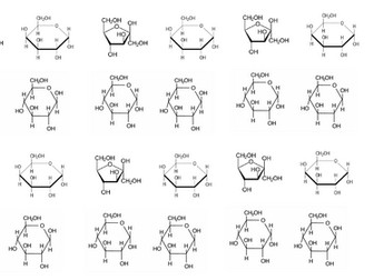 Monosaccharides and Disaccharides