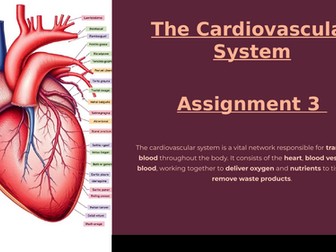 NCFE Level 2 - Anatomy & Physiology For Exercise