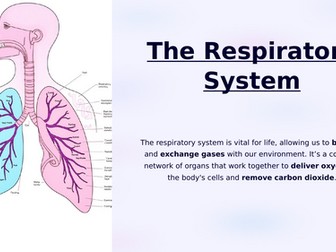 NCFE Level 2 - The Respiratory System