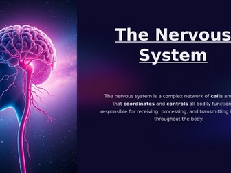 NCFE Level 2 - The Nervous System